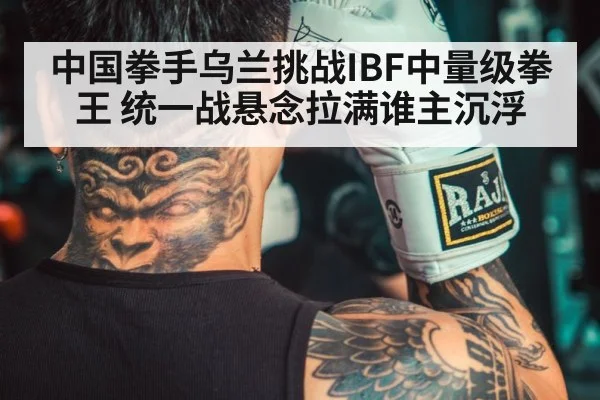 chinese boxer